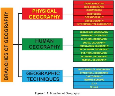 Branches of Geography Economic Geography, Social Organization, Human Geography, Physical Geography, Study Related, Primary Activities, Ozone Layer, Remote Sensing, World Geography