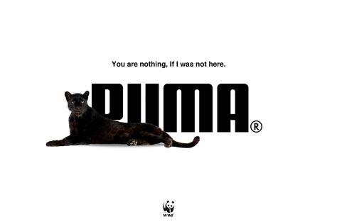 WWF Outdoor Advert By Seneca College: Puma | Ads of the World™ Puma Advertising, Puma Ads, Puma Ad, Seneca College, Creative Advertising Campaign, Employer Branding, Ads Of The World, Ads Creative, Creative Advertising