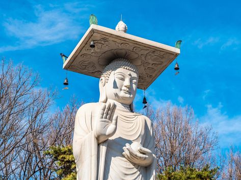 Buddhist statue in Bongeunsa Temple at Seoul City, South Korea South Korea Temples, South Korea Landmarks, Byodo-in Temple, Deoksugung Palace South Korea, Osan South Korea, South Korea, Free Stock Photos, Seoul, Statue Of Liberty