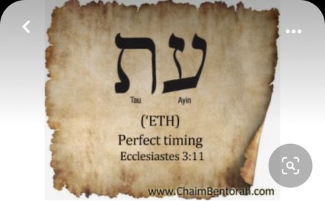 Hebrew 11:1 Tattoo, Ecclesiastes 3 11 Tattoo, Hebrew Tattoo, Ecclesiastes 3 11, Quote Tattoos, Back Tattoos For Guys, Christian Quote, 1 Tattoo, Subtle Tattoos