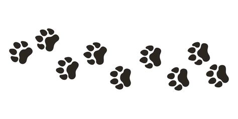 Paws Reference Drawing, Animals Footprints, Tiger Paws, Animal Paw Prints, Animal Footprints, Tiger Paw, Different Animals, Reference Drawing, Background Illustration