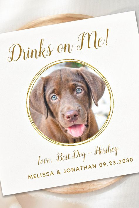 Pet Dog Wedding Drinks On Me Photo Elegant Gold Napkins Wedding Drinks, Gold Napkins, Wedding Pets, Wedding Drink, Dog Wedding, Elegant Chic, Black Dog, Pet Dog, Dog Art