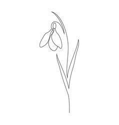 Snow Drop One Line Tattoo, Online Flower Tattoo, Small Snowdrop Flower Tattoo, Tiny Snowdrop Tattoo, One Line Snowdrop Tattoo, Galanthus Tattoo, Small Snowdrop Tattoo, Snowdrop Line Drawing, Snowdrop Doodle