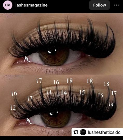 Lash Maps, Lash Map, Natural Fake Eyelashes, Best Lash Extensions, Lashes Fake Eyelashes, Lashes Tutorial, Wispy Eyelashes, Eyelash Tips, Eyelash Technician