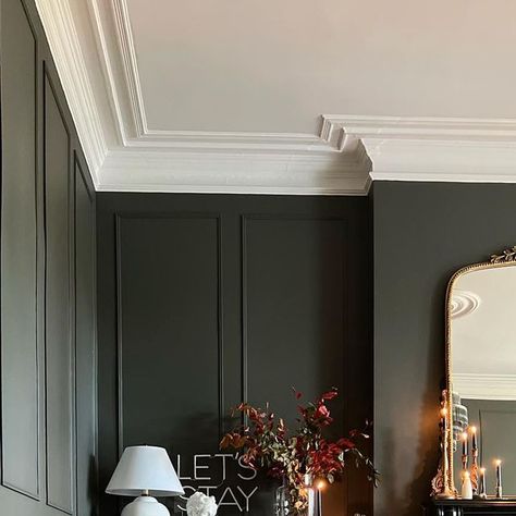 Rachael Wilshaw on Instagram: "Dining room before and after! ad - I love a transformation, this is my latest. It just shows how easy it is to change the look and feel of a space. Going dark has added so much drama which is exactly what I was going for. This is also the darkest room in the house but because it’s size it can take a bold dark colour, this is Pompeian ash by @littlegreenepaint * This was taken before the garland was made, I haven’t taken it down 🤣 #littlegreenpaintcompany #hom Dark Ceiling Dining Room, Pompeian Ash, Modern Transitional Dining Room, Dark Lounge, Going Dark, Dark Dining Room, Dark Ceiling, Extension Plans, House Extension Plans