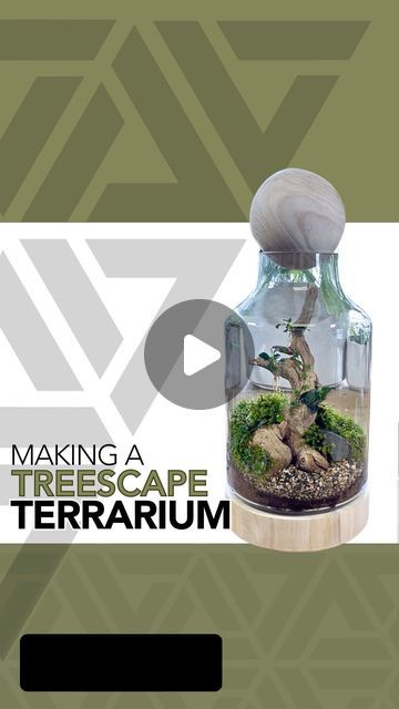 JOHNATHON Q SWANSON on Instagram: "This might be one of my favorite terrariums! 🌱 You can find a longer version of this video through the link in my bio  #terrarium #terrariumdesign #terrariumlove #terrariumdreams #moss #howto #diy #fyp #terrariumsofinstagram #portland #cactus #succulents #beaverton #pdx #plantshop #local #smallbusiness #plantsplantsplants #plants #plantsmakepeoplehappy #plantsofinstagram" How To Make A Closed Terrarium, Planterium Diy Terrarium, Sealed Terrarium Bottle Garden, 12x12x18 Terrarium, 18x18x24 Terrarium, Plant Covers, Garden Projects, Terrarium, House Plants