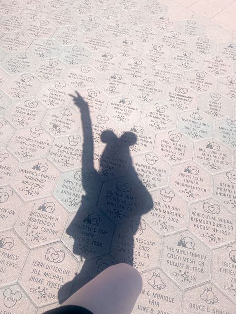 disneyland / disneyworld cute photo idea shadow silhouette selfie Disneyland Selfies Ideas, Disney Selfies Ideas, Disneyland Selfies, Silhouette Selfie, Disneyland Pics, Disney Picture Ideas, Disneyland Photography, Disneyland World, Disneyland Photos