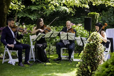 Uffizi Quartet string quartet for hire from Entertainment Nation. #stringquartet #quartet #strings #music #musicians #musicforhire #music #livemusic #weddingentertainment #weddingmusic #weddingideas #corporate #romantic #corporateevents Wedding Performers, Ideas For Wedding Ceremony, Lowndes Grove Wedding, Classical Wedding, Wedding Ceremony Music, Wedding Musicians, Event Entrance, Diy Wedding Video, Music Ideas