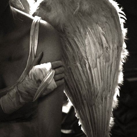 ~^i^~ Wild Angel, Broken Wings, Ange Demon, Angel Aesthetic, Angels Among Us, Dark Angel, Angels And Demons, Fairy Angel, Angel Art