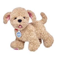 Build A Bear Dog, Lots Of Kisses, Custom Stuffed Animal, Assistance Dog, Fairy Friends, Teddy Bear Picnic, Bear Dog, Funny Bunnies, Pet Paws