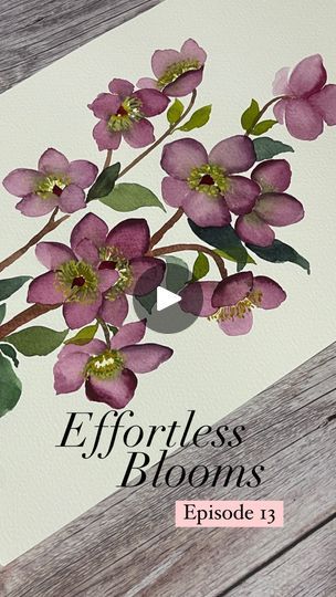 116 reactions · 8 comments | Today in Episode 13 of #EffortlessBlooms, we're diving into the world of watercolor Hellebores.

Effortless Blooms is all about rediscovering the joy of painting without the pressure. Life can get busy, and sometimes we need a creative escape. That's why I started this series – to paint just for the pure pleasure of it.

In this episode, we're exploring the delicate beauty of Hellebores. These flowers are all about resilience, blooming even in the coldest of times.

Now, here's the fun part – I want YOU to join in! Share your Effortless Blooms creations by tagging me, [@andrea.dsigns], and using #EffortlessBlooms. So, grab your brushes, unleash your creativity, and let's paint together. No pressure, just pure artistic fun!

Stay tuned for more episodes, more fl Paint Together, The Joy Of Painting, Delicate Beauty, I Want You, Stay Tuned, We Need, Diving, Paint, Pure Products