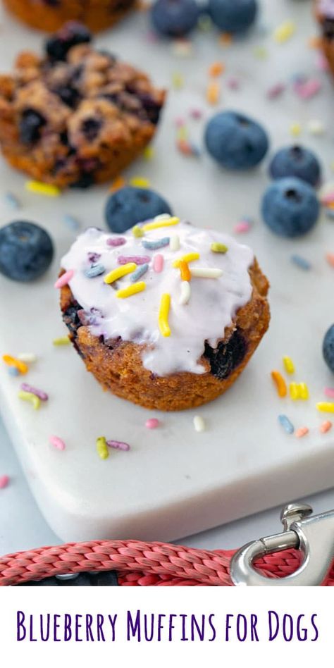 Muffins For Dogs, Blueberry Dog Treat Recipe, Blueberry Dog Treats, Puppy Cookies, Sour Cream Icing, Honey And Coconut Oil, Dog Friendly Cake, Baby Treats, Dog Muffins