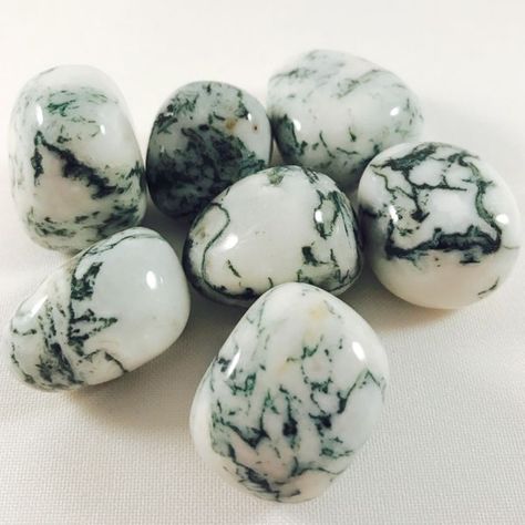 Agate Aesthetic, Tree Agate Meaning, Energy Muse, Agate Meaning, Geode Rocks, Tree Agate, Dendritic Agate, Diamond Glitter, Rock Collection