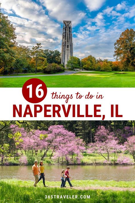 A little less than an hour’s drive from the Windy City of Chicago, Naperville is a town filled with wonderful things to do. You will find history-based attractions, a wide variety of museums, bustling breweries, and exhilarating amusement parks here. So, what are you waiting for? Bring your loved ones along to explore all the wonderful things to do in Naperville! Naperville Riverwalk, Illinois Travel, Naperville Illinois, City Of Chicago, The Windy City, Chicago Suburbs, Amusement Parks, River Walk, Windy City