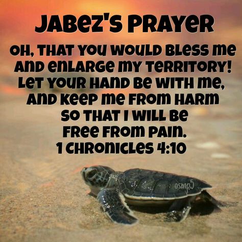 Prayer Of Jabez For Women, Jabez Prayer, Prayerful Woman, Prayer Of Jabez, Prayer Wall, Spiritual Prayers, Prayer And Fasting, Church Activities, Big Things