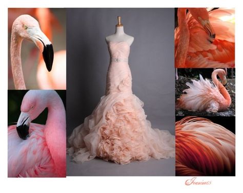 Flamingo Inspired Dress, Flamingo Fashion Design, Coutour Dresses, Flamingo Fashion, Flamingo Pictures, Flamingo Color, Illustration Collage, Fashion Illustration Collage, Flamingo Dress