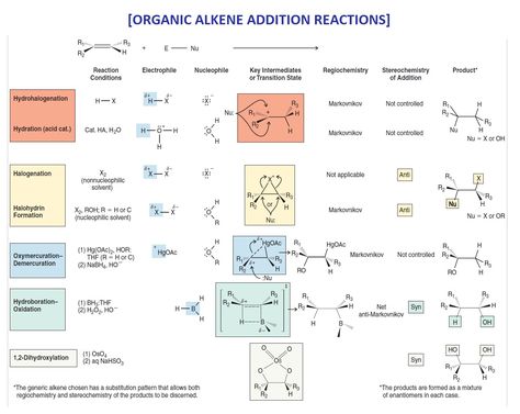 ORGANIC CHEMISTRY ALKENE ADDITION REACTIONS Addition Reactions Organic Chemistry, Functional Groups Organic Chemistry, Naming Organic Compounds, Organic Chemistry Notes, Organic Reactions, Chemistry Help, Organic Chem, Structural Formula, Organic Chemistry Study