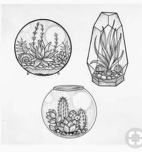 Drawing Black and white Succulent Tattoo, Succulents Drawing, Kunst Tattoos, Tattoo Zeichnungen, Cat Tattoos, Succulent Art, Beautiful Sketches, Tiny Tattoo, Illustration Photo