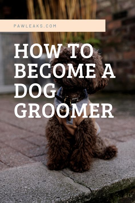 Dog Grooming Styles Poodle, Grooming Aesthetic, Dog Grooming Salon Ideas, Cockapoo Grooming, Fur Nails, Mobile Grooming, Dog Grooming Diy, Goldendoodle Grooming, Pet Grooming Business