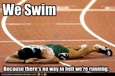 From #FridayFrivolity @mymunofore  -- Funny swimming memes that every competitive swimmer will understand. funny Olympic memes. swimming jokes. Swimming Quotes Funny, Swimmer Memes, Swimmer Quotes, Swimming Jokes, Diving Quotes, Swimming Funny, Swimming Motivation, Swimming Memes, Swimming Pictures