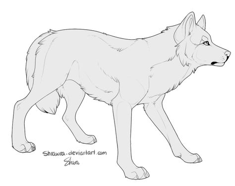 WOLF 5 Wolf Oc Base, Wolf Concept, Blank Character, Wolf Oc, Hair Wings, Canine Drawing, Drawing Template, Wolf Drawing, Oc Base