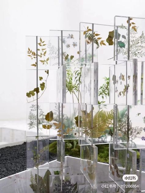 Science Museum, Glass Boxes, Museum Exhibition, Transparent Design, Display Design, Architecture Model, Window Display, Beautiful Packaging, Exhibition Design