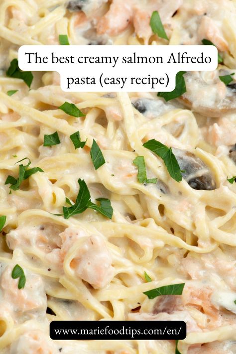 On your table within 20 minutes, this salmon Alfredo pasta is the perfect cozy and lazy weeknight meal! It combines a deliciously creamy sauce, tender salmon, perfectly cooked pasta and tasty mushrooms. The dream, I know... Salmon Alfredo Pasta, Salmon Alfredo, Creamy Salmon, Pasta With Alfredo Sauce, Pasta Easy, Fettuccine Alfredo Recipes, Cooked Pasta, Salmon Pasta, Homemade Alfredo Sauce