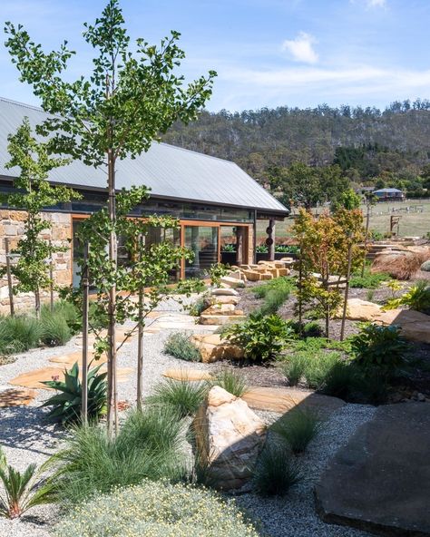 Australian Landscaping, Waterwise Landscaping, Australian Garden Design, Bush Garden, Landscaping Backyard, Australian Native Garden, Drought Tolerant Garden, Waterwise Garden, Dry Garden