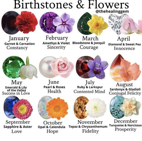 Rose Color Meanings, Tanaman Sukulen, Birth Stones, Express Emotions, Flower Language, The Language Of Flowers, Earth Mother, Flower Symbol, Infinity Tattoos