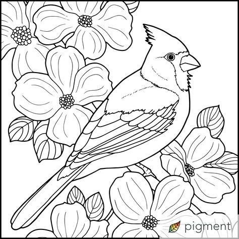 Cardinal drawing for copy Pictures Of Birds And Flowers, State Birds And Flowers, Cardinal Coloring Pages Free Printable, Bird And Flower Drawing, Cardinal Drawing, Winter Wood Crafts, Bird Outline, Motifs Art Nouveau, Flowers Coloring