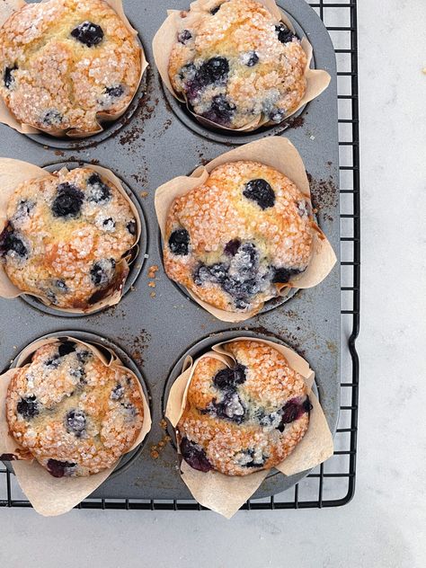 Jumbo Blueberry Muffins, Jordan Marsh Blueberry Muffins, Moist Blueberry Muffins, Blueberry Muffin Topping, The Best Blueberry Muffins, Bakery Style Blueberry Muffins, Homemade Blueberry Muffins, Best Blueberry Muffins, Jumbo Muffins