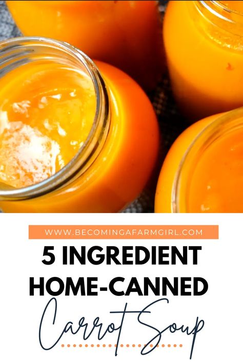 Delicious Carrot & Fennel Soup | Canning Recipe - Becoming a Farm Girl Canning Carrot Soup, Carrot Recipes For Canning, Carrot Canning Recipes, Carrot And Fennel Soup, Canning Carrots, Fennel Recipes Soup, Homesteading Food, Carrot Pudding, Fennel Soup