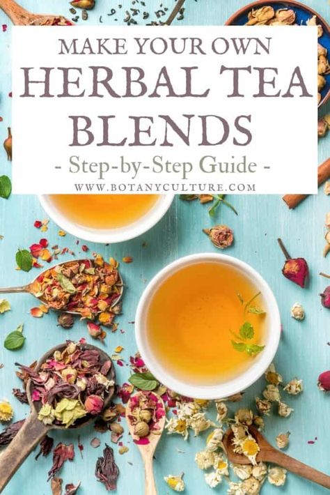 How To Make Your Own Nourishing Herbal Tea Blends Make Your Own Tea Blends, Herbal Pantry, Herbs For Tea, Herbal Tea Recipes, Make Your Own Tea, Tea Blends Recipes, Teas Recipes, Herbal Tea Garden, Herbal Tea Benefits