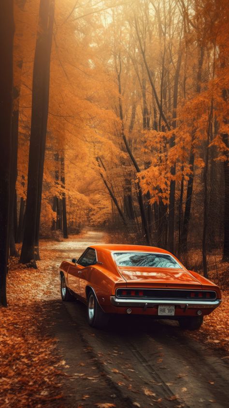 Vw Art, Halloween Wallpaper Backgrounds, Iphone Wallpaper Aesthetic, Old Muscle Cars, Old Vintage Cars, Carpet Ideas, Wallpaper Iphone Wallpaper, Fishing Adventure, Bountiful Harvest