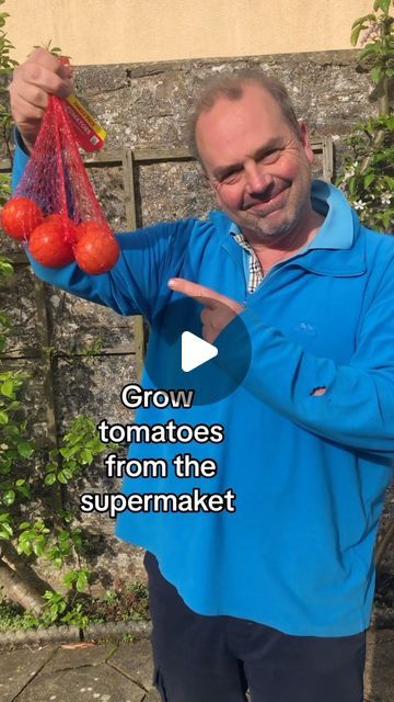 Tomatoes Growing Tips, Planting Tomatoes In Garden, How To Grow Tomatoes, Garden Companion Planting, Celebrity Recipes, Grow Tomatoes, Garden Hacks, Growing Veggies, Garden Food