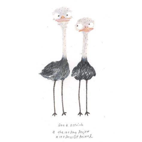 3,450 mentions J’aime, 28 commentaires – Heegyum Kim (@hee_cookingdiary) sur Instagram : « #the100DayProject #the100DaysOfAnimal #ostrich #colorpencil #characterdesign » Ostrich Character Design, Heegyum Kim, Ostrich Illustration, Animal Illustrations, Drawing Projects, Cute Easy Drawings, Small Art, Emu, Flower Illustration