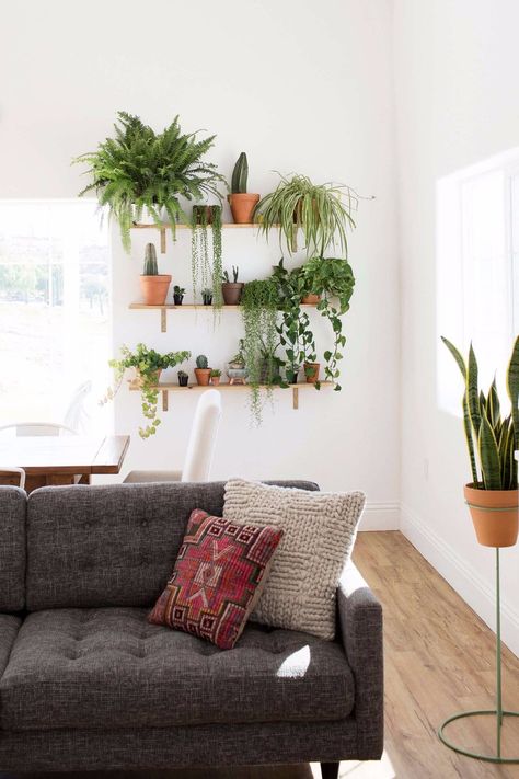 How to Create a Killer Garden Wall in Your Apartment Minimalist Dekor, Contemporary Living Room Design, Apartment Plants, Living Room Plants, Deco Nature, Walled Garden, Design Studios, Apartment Garden, Cool Apartments