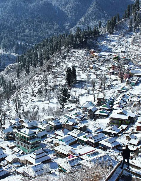 Tosh village, Parvati Valley, Himachal Pradesh January 2018 PC - Manish Dua #india #bharat #nature #valley #himachal #hindustan #village Tosh Himachal Pradesh, Parvati Valley, Enchanting Places, Nature Valley, Travel Diaries, Hill Station, Himachal Pradesh, Incredible India, Travel Diary