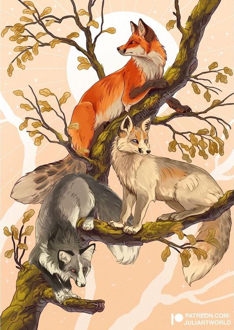 Three Animals, Art Bio, Fox Fire, Canine Drawing, Fox Images, Fox Drawing, Fox Pictures, Canine Art, My Favorite Color