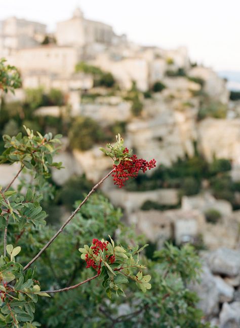 Intimate Wedding Inspiration in the South of France Wedding Abroad, Lesbian Wedding, The South Of France, Intimate Weddings, South Of France, Something Beautiful, Intimate Wedding, Celebrity Weddings, Style Me Pretty