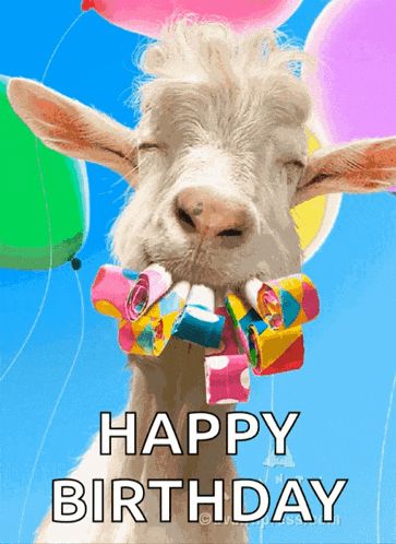 Happy Birthday Wishes Animals, Happy Birthday Farmer, Funny Happy Birthday Gif, Birthday Meme Funny, Silver Anniversary Party, Dancing Animated, Happy Birthday George, Happy Greetings, Funny Happy Birthday Images