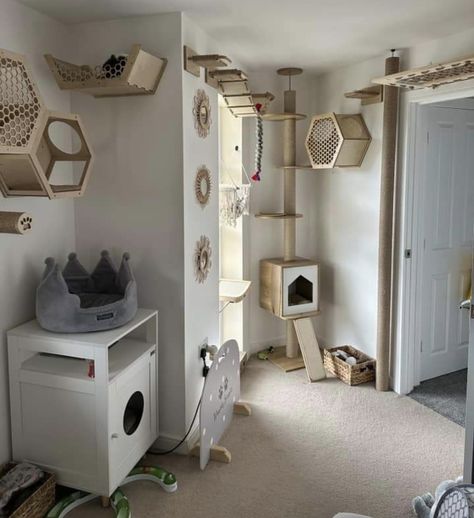 LOVE the cat tree in the corner + the floor to ceiling pole is phenomenal 😍 Cat Room Decor, Katt Grejer, Cat Bedroom, Cute Living Room, Cat Patio, Cat Wall Shelves, Diy Cat Tree, Cat Wall Furniture, Cat House Diy