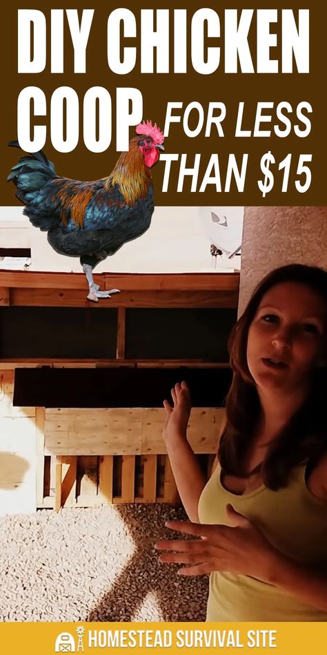 Chicken Coops Homemade, Build Your Own Chicken Coop, Easy Diy Chicken Coop, Cheap Chicken Coops, Chicken Coop Pallets, Live Off The Grid, Chicken Roost, Easy Chicken Coop, Chicken Barn