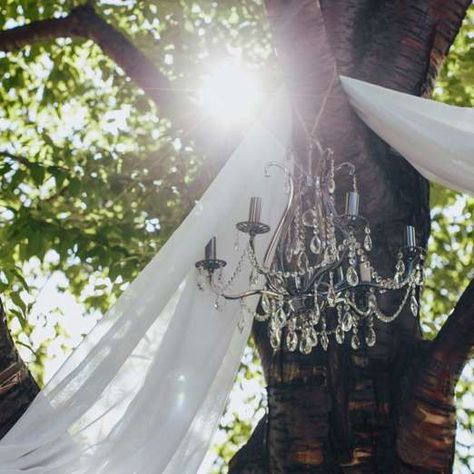 Slide 3 of 19: Hang Chandeliers From TreesA chandelier will add light and elegance to an outdoor wedding reception. And you can hang the chandelier from a large tree branch with a strong rope to take advantage of the natural outdoor setting. If your wedding venue doesn't have an abundance of trees, you can also hang chandeliers from a homemade arbor and decorate it with floaty blooms and lots of greenery.And be sure to tie the chandeliers tight and securely with these 5 knots to know. Chandelier Hanging From Tree, Chandelier In Tree Wedding, Chandelier Outdoor Wedding, Diy Wedding Chandelier, Diy Outdoor Wedding Decorations, Homemade Arbor, Crafty Wedding, Outdoor Wedding Reception Decorations, Wooden Wedding Arches