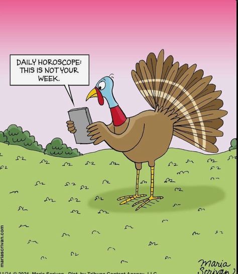 Turkey Jokes Humor Thanksgiving, Turkey Jokes Humor, Housework Humor, Funny Thanksgiving Pictures, Turkey Jokes, Absurd Humor, Thanksgiving Humor, Turkey Cartoon, Thanksgiving Quotes Funny