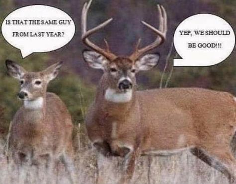 America’s best pics and videos is fun of your life. Images, GIFs and videos featured seven ti... Funny Deer Pictures, Deer Hunting Memes, Girl Hunting Quotes, Funny Hunting Pics, Hunting Quotes Funny, Deer Hunting Humor, Hunting Jokes, Fishing Jokes, Hunting Quotes