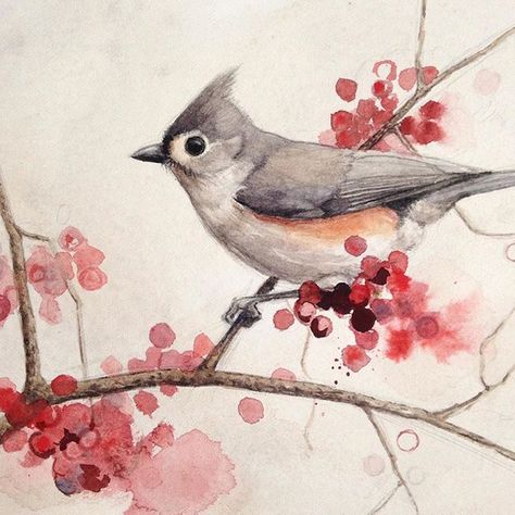 Tufted Titmouse- watercolor Titmouse Tattoo, Tufted Titmouse, Cute Piercings, Bird Drawings, Watercolor Design, Bird Art, Watercolour Painting, Tattoo Drawings, Cool Tattoos