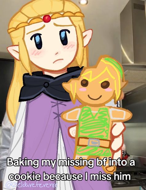 Zelda Wallpaper Twilight Princess, Link Pfp Manga, Legend Of Zelda Pumpkin Carving, Legend Of Zelda Botw Memes Funny, Link Fanart Cute, Zelda And Link Matching Pfp, Legend Of Zelda Gif, Link X Zelda Fanart, Great Fairy Zelda