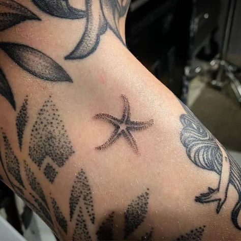 Starfish And Sand Dollar Tattoo, Sand Dollar Tattoo, Tattoo On Ankle, Dollar Tattoo, Starfish Tattoo, Spartan Tattoo, Saved Tattoo, Anchor Tattoos, Fairy Tattoo