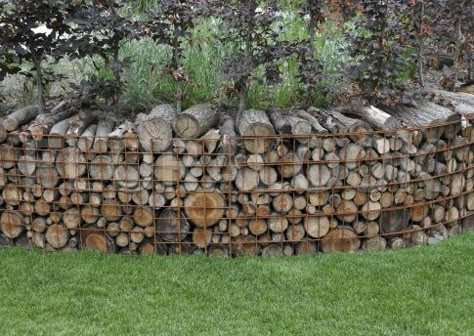 Gabion with firewood Log Retaining Wall, Wood Log Ideas, Log Ideas, Noise Barrier, Gabion Baskets, Natural Fence, Gabion Wall, Lake Cabin, Wood Logs